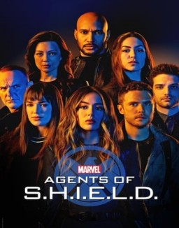 Agents of S.H.I.E.L.D. Stagione  1 streaming