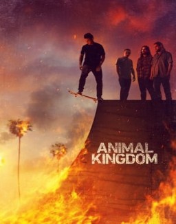 Animal Kingdom Stagione  1 streaming