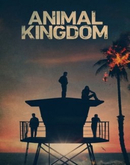 Animal Kingdom Stagione  5 streaming