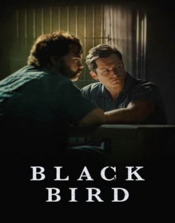 Black Bird guarda serie streaming