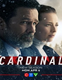 Cardinal guarda streaming