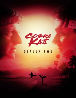 Cobra Kai Stagione  2 streaming