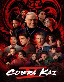 Cobra Kai Stagione  5 streaming