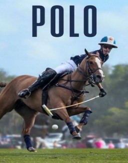 Polo S1