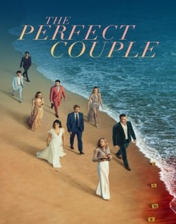 The Perfect Couple guarda serie streaming